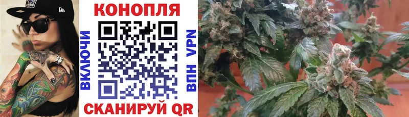 Продажа наркотиков Тында Вейп ТГК  Меф мяу мяу  Кокаин  Alpha PVP  ГАШ  Каннабис 