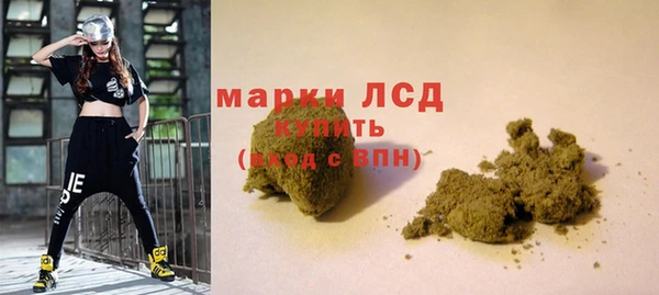ГАЛЛЮЦИНОГЕННЫЕ ГРИБЫ Кулебаки