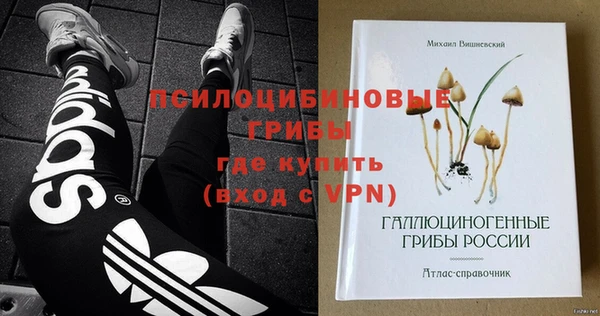 ГАЛЛЮЦИНОГЕННЫЕ ГРИБЫ Кулебаки