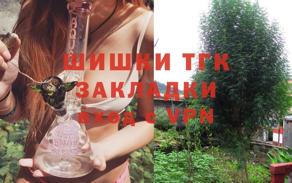 ГАЛЛЮЦИНОГЕННЫЕ ГРИБЫ Кулебаки