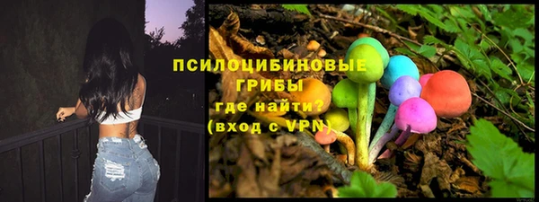 ГАЛЛЮЦИНОГЕННЫЕ ГРИБЫ Кулебаки
