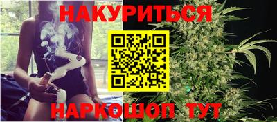 индика Будённовск