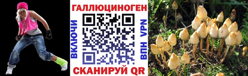 Псилоцибиновые грибы GOLDEN TEACHER  Тында 