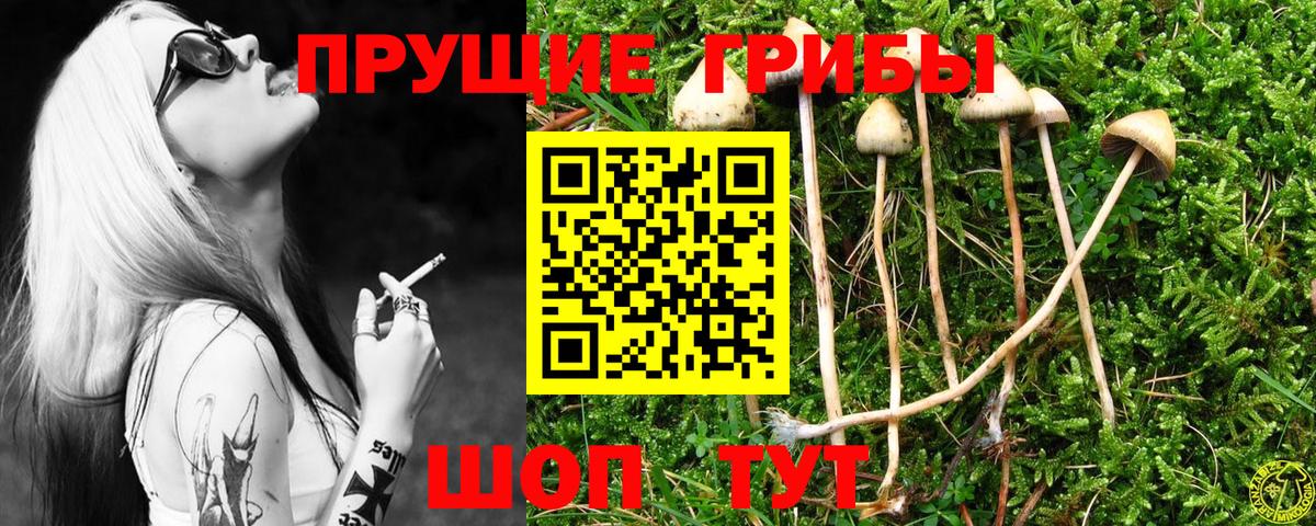 Галлюциногенные грибы ЛСД Тында