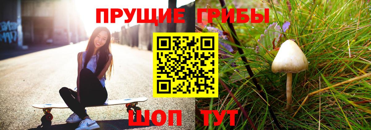 Галлюциногенные грибы ЛСД  Тында  Галлюциногенные грибы мухоморы 